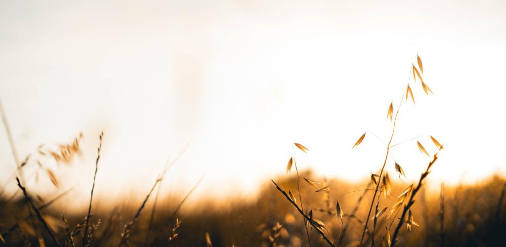 Home Bowen Enterprises, LLC.