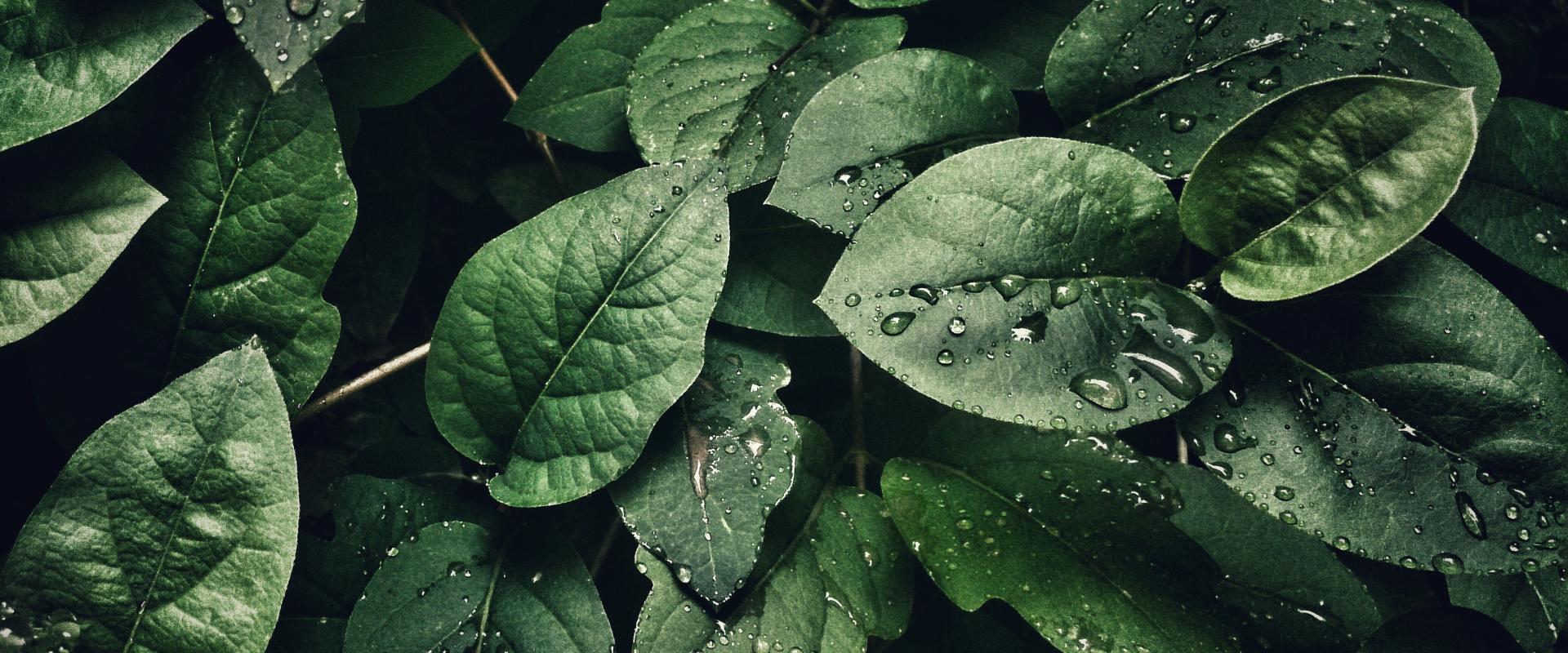 Victoria Bowen Bowen Enterprises, LLC.